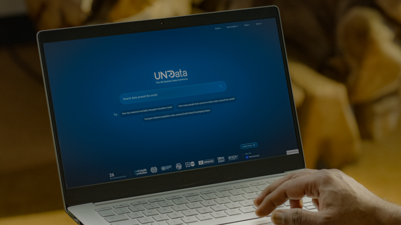 Логотип UN System Data Commons — открытой платформы ООН и Google для глобальной статистики